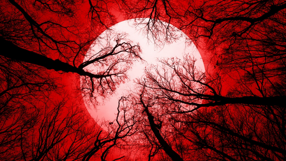 POMRAČENJE MESECA U BIKU 8. NOVEMBRA Ova 4 znaka u horoskopu mogu se naći na životnoj prekretnici