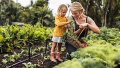 OVAJ CVET U BAŠTI SA POVRĆEM JE ČUDO Najmoćniji prirodni insekticid, tera štetočine i bolesti biljaka