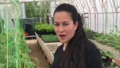 VOZI BALE SENA, ŠIŠA OVCE Glumica je zamenila grad za selo i sada je vređaju jer je žena koja se bavi poljoprivredom