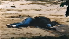 NJIHOVA BEŽIVOTNA TELA SU ČETIRI DANA LEŽALA U PRAŠINI Na današnji dan ubijeni su sarajevski Romeo i Julija i zagrljeni otišli u smrt