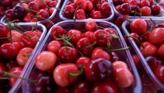 NIKAKO NE BACAJTE OVE OSTATKE OD TREŠANJA, ČINE ČUDO ZA TELO: Od toga se pravi čaj koji čuva srce i bubrege