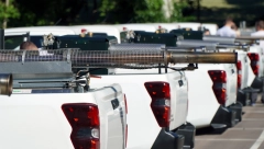 U Beogradu danas akcije suzbijanja i krpelja i komaraca