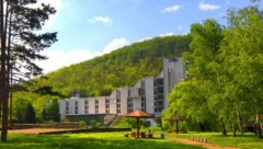 POZNATA PO LEKOVITOM MINERALNOM BLATU Ono što ovu banju razlikuje od ostalih širom naše zemlje je sadržaj hemijskih elemenata