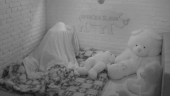 LETELA PO IZOLACIJI Nikad brutalniji se*s Filipa i Dalile, odjekivala izolacija, javnost zgrožena divljim scenama (VIDEO 18+)