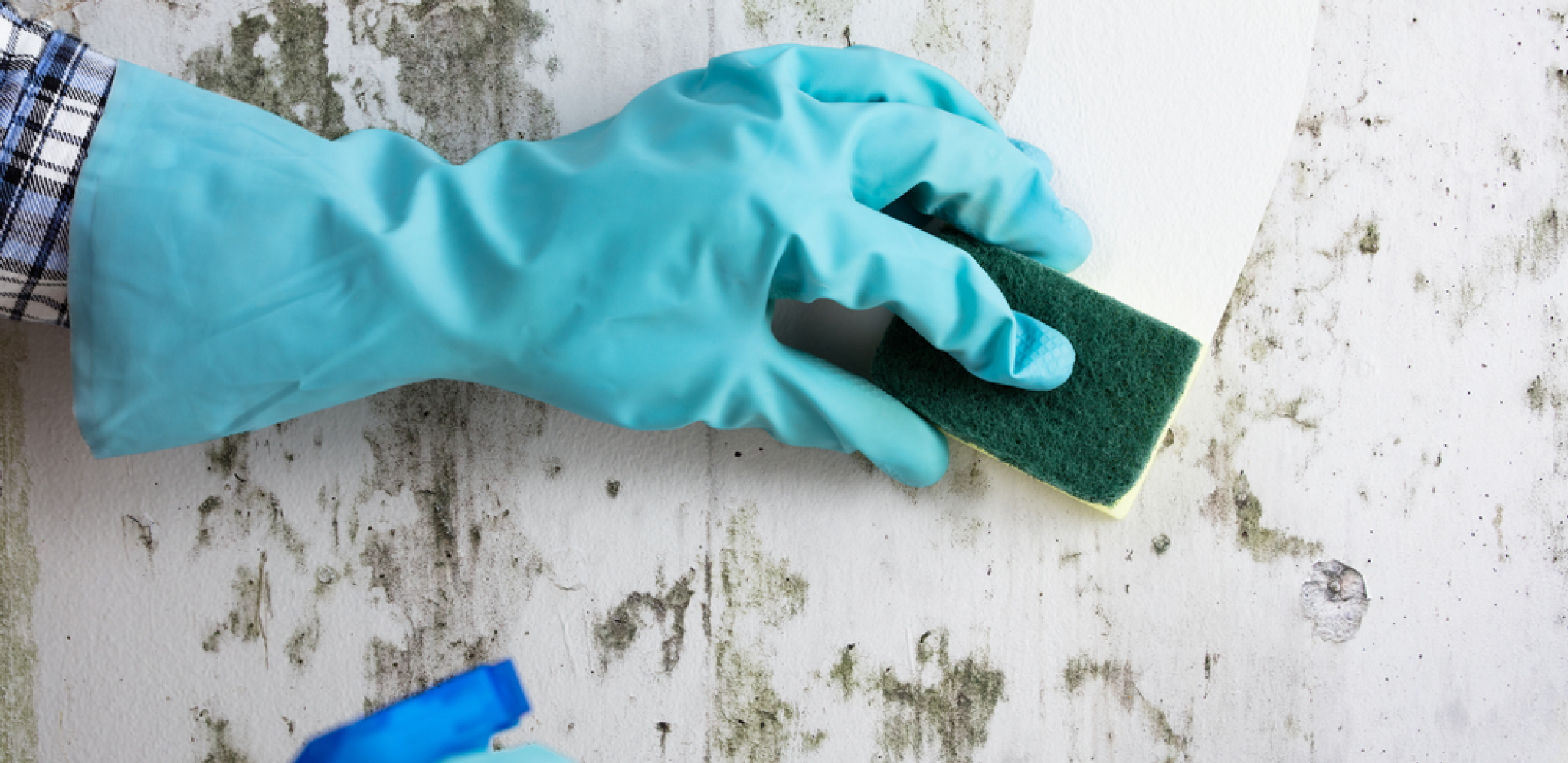 SPREJ OD TRI SASTOJKA TRAJNO UKLANJA BUĐ Nije izbeljivač, a problem je rešen za 10 minuta