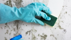 ZIDOVE SAM OPRALA SMESOM OD DVA SASTOJKA Rezultat me zaprepastio, izgledalo je kao da sam okrečila stan