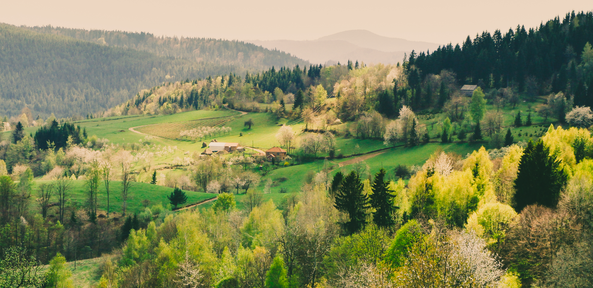 NEUKROTIVA SRPSKA LEPOTICA KOJU MORATE OBIĆI OVOG LETA Planina sa tri jezera, dve lekovite reke i šest manastira!