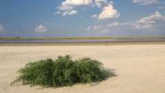 LEKOVITA BANJA NA OBALI SLANOG JEZERA Specijalna bolnica za rehabilitaciju predstavlja jednu od najeminentnijih ustanova ovog tipa u našoj zemlji