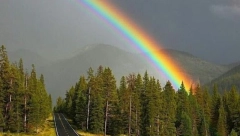 HOROSKOP ZA 7. JUN Devicu očekuje važan poslovni sastanak, Škorpija ulazi u novu ljubavnu avanturu, a Ribe će imati problema sa nogama!