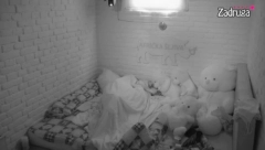 ORALNO GA ZADOVOLJAVALA, A ONDA ZAJAHALA Skandalozne scene divljačkog se*sa Dalile i Cara u rijalitiju, tresla se izolacija (VIDEO +18)