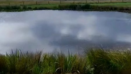 VIC DANA Šta bi se desilo da je cela Slovenija pod vodom?