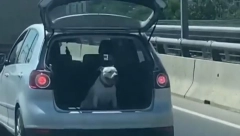 ŠOKANTAN SNIMAK PODELIO SRBIJU Jedni ga hvale, drugi kritikuju (VIDEO)