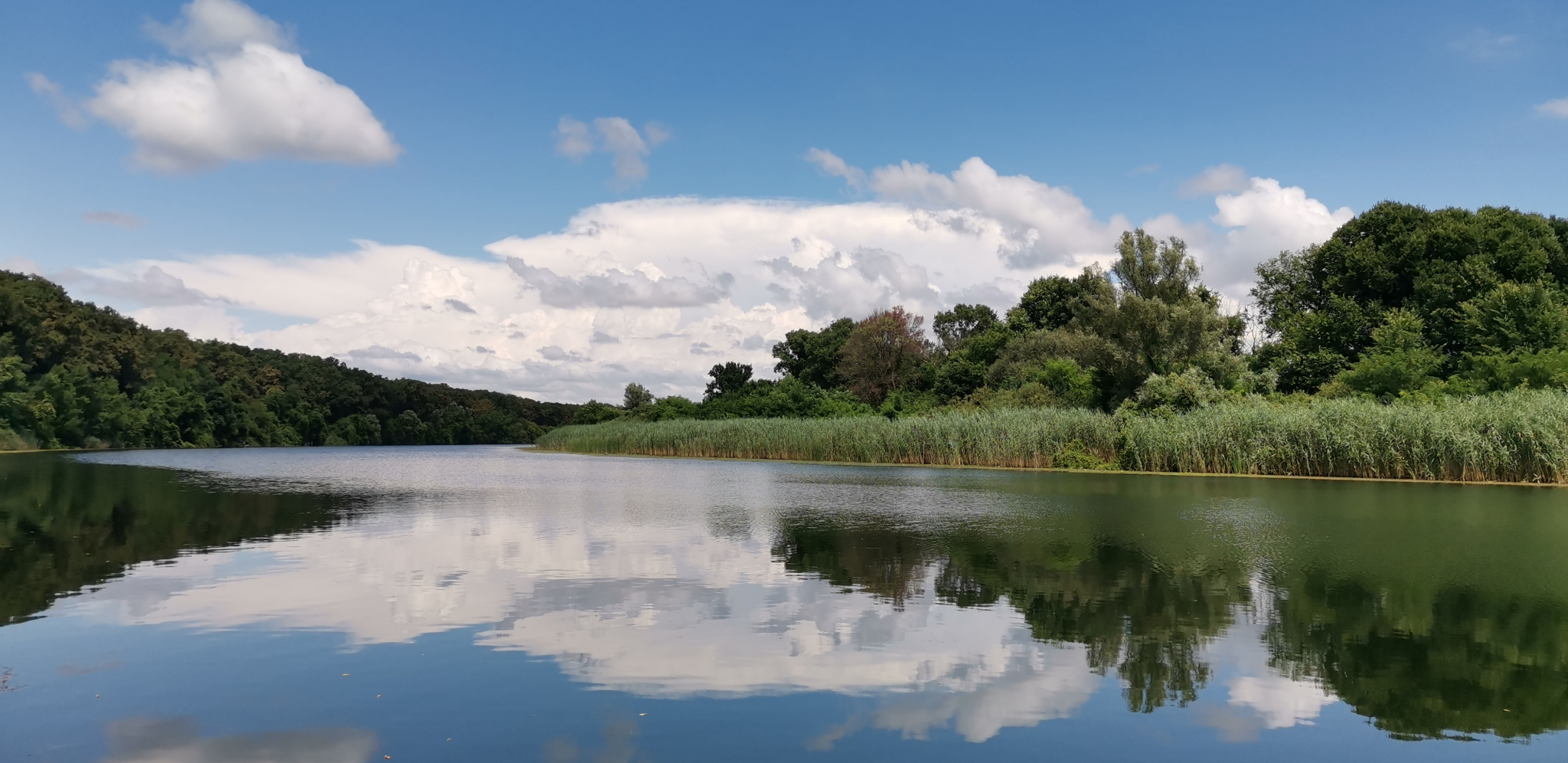 "EVROPSKI AMAZON" U SRBIJI Gornje Podunavlje je pravi srpski raj od kog zastaje dah!