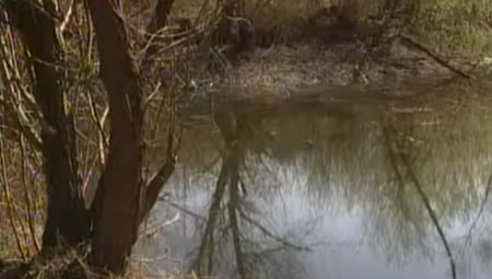 IZVRŠIO JE SAMOUBISTVO Iz Save isplivao leš muškarca