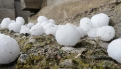 GRAD "OBRAO" MALINE U IVANJICI Nevreme obelelo livade usred leta (VIDEO)