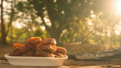 SVAKOGA DANA TREBA JESTI URME Evo i odgovora zašto