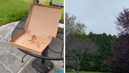 "OVO NIJE MOGUĆE!" Hteo da se snimi tokom jela, ono što je usledilo u deliću sekunde niko nije očekivao (VIDEO)