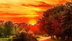 VELIKI NEDELJNI HOROSKOP Blizanci će napraviti rezove u životu, žučne rasprave sa partnerom imaće Škorpija, Strelca čeka veliki poslovni uspeh