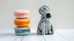 DIJABETES JE ČEŠĆI KOD STARIJIH KUĆNIH LJUBIMACA Bolest se lakše može izlečiti ako se rano otkrije i leči