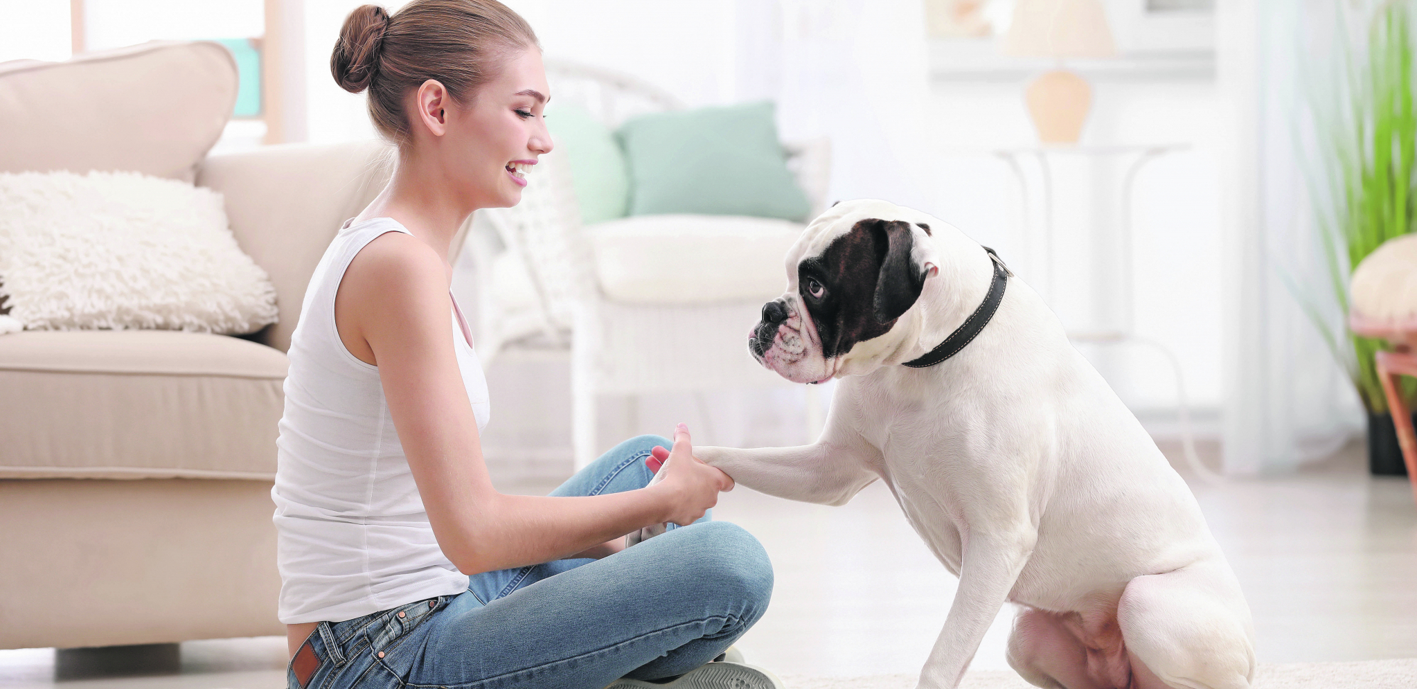 SVAKI ODNOS SA PSOM ZAHTEVA MEĐUSOBNO POŠTOVANJE Ovo su samo neki od primera kako izgleda kada vas pas poštuje