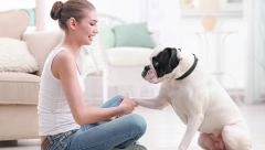 SVAKI ODNOS SA PSOM ZAHTEVA MEĐUSOBNO POŠTOVANJE Ovo su samo neki od primera kako izgleda kada vas pas poštuje