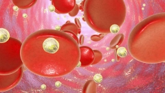 AKO MISLTE DA POSTOJE SAMO ČETIRI KRVNE GRUPE, GADNO SE VARATE "Zlatnu krv" imaju samo posebni i retki ljudi!