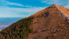 DEDA GVOZDEN PRORIČE Rusija i Turska u ratu, a Srbija...