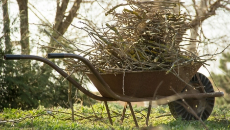 POLJACI NEMAJU PARA ZA OGREV Vlada  im rekla da sakupljaju grane u šumi