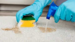 KAKO OČISTITI ČUPAV TEPIH Samo pratite ove korake i biće kao nov