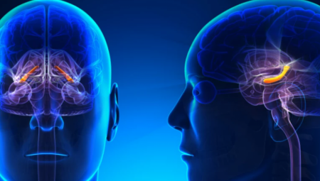 MUŠKARAC I ŽENA NISU ISTO Naučnici sa Stenforda dokazali, razlike su ukorenjene u mozgu