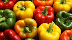KOJA JE RAZLIKA IZMEĐU ŽUTIH, CRVENIH I ZELENIH PAPRIKA? Jedne su uvek najskuplje, ali nisu i najzdravije