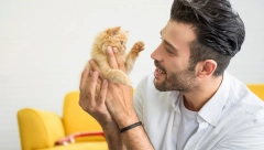 BITNI DETALJI Kako da odaberete idealnog kućnog ljubimca za vas i ukućane