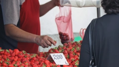 JAGODE NAM PAKUJU ZATVORENICI Fotografija na mrežama zapanjila Srbe: "Pametno, neka zarade ono što pojedu!"