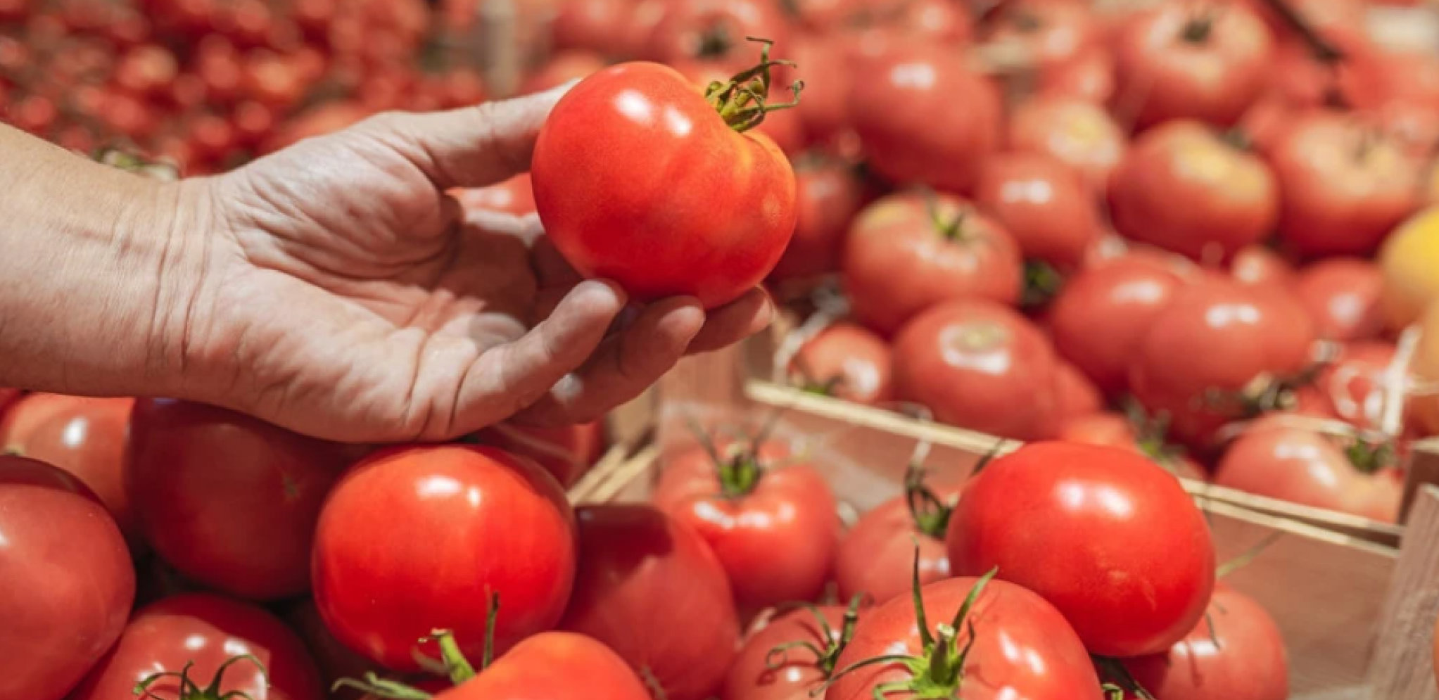 ZDRAVLJE NA TANJIRU Evo zašto je paradajz najzdravija namirnica koju ovog leta moramo imati na meniju