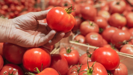 UNUTRA SE KRILO JEZIVO STVORENJE! Čovek zvao u pomoć čim je otvorio kutiju paradajza (VIDEO)