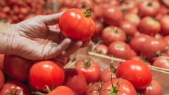 KO NE SME DA JEDE PARADAJZ Ako se lečite od ovih bolesti, odmah ga izbacite iz ishrane