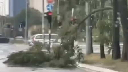 SNAŽNO NEVREME ČUPALO DRVEĆE Pogledajte zastrašujuće slike sa beogradskih ulica (VIDEO)
