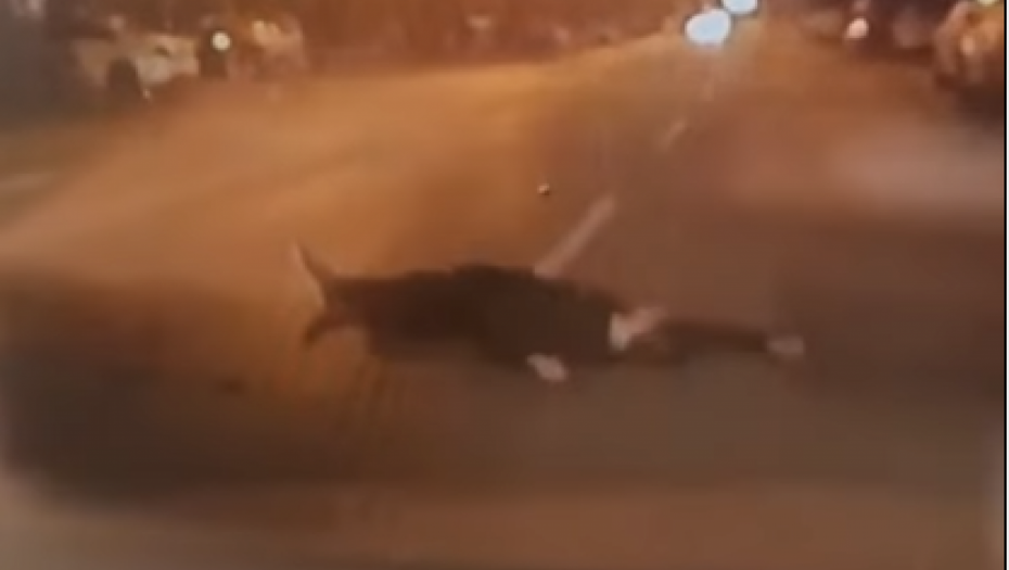 JEZIV PRIZOR NA ULICI U NOVOM SADU! Čovek leži nasred puta, auto ga umalo pregazio (VIDEO)