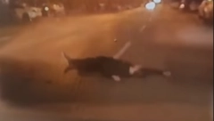JEZIV PRIZOR NA ULICI U NOVOM SADU! Čovek leži nasred puta, auto ga umalo pregazio (VIDEO)