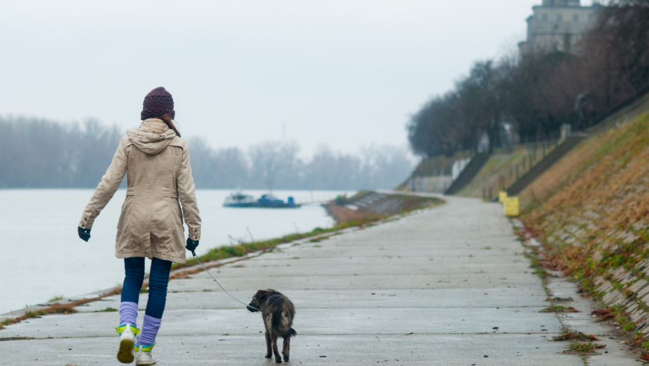 PAPRENE KAZNE Ovo je rešenje za neodgovorne vlasnike pasa koji ne kupe izmet
