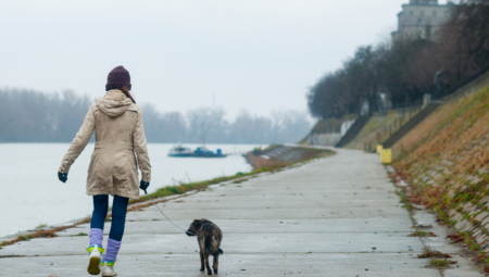 NA BOLOVANJE ZBOG KUĆNOG LJUBIMCA Nastao haos na društvenim mrežama, vlasnici u klin, ostali u ploču