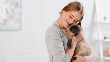 Ove ne treba da radite: Tri stvari koje nervraju mačku