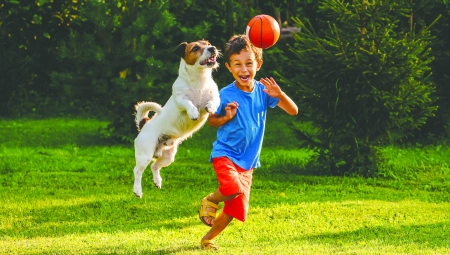 AKO NISTE ZNALI Evo kako vam vaši kućni ljubimci mogu biti od pomoći