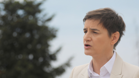 NAPREDAK SRBIJE NA POLJU ZELENE ENERGIJE Brnabić: Cilj vlade je stabilizacija struje kako ne bi bilo restrikcija