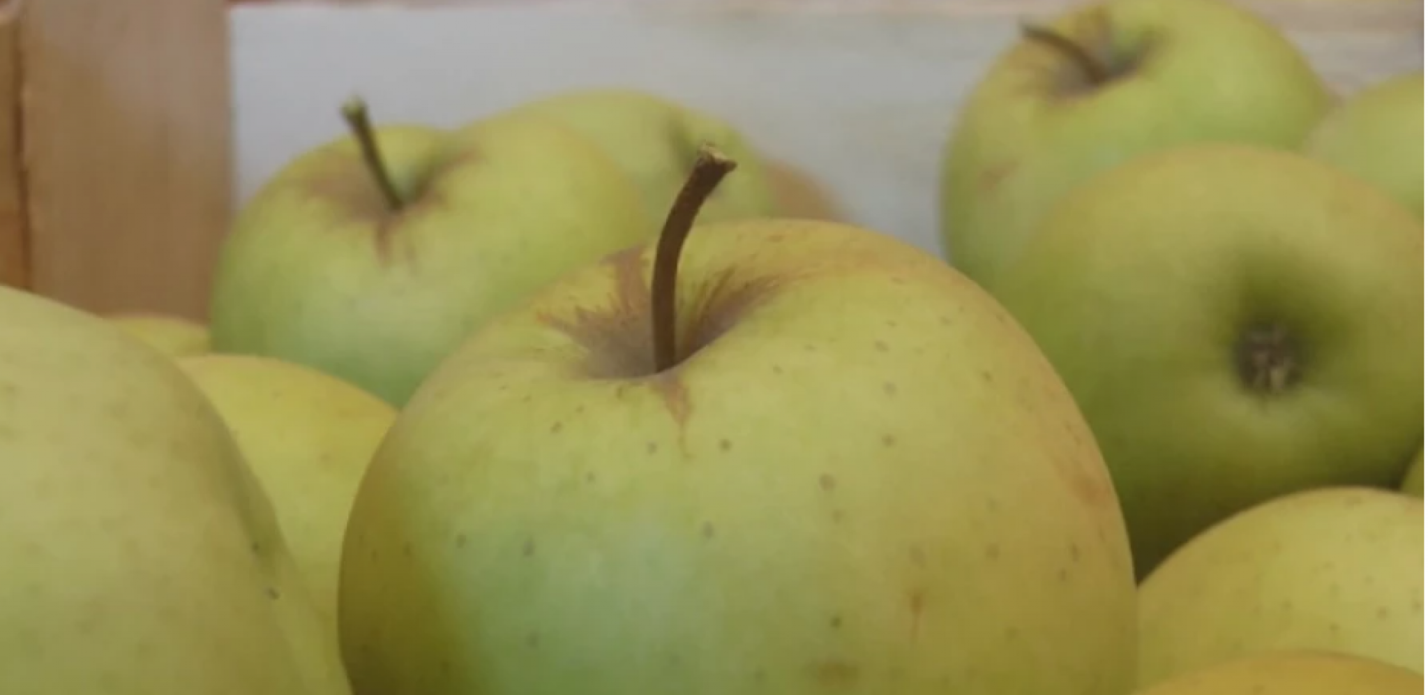 HRVAT PODELIO ŠOK SCENU IZ MARKETA: Tri jabuke u kutiji sa celofanom 22 evra! (VIDEO)