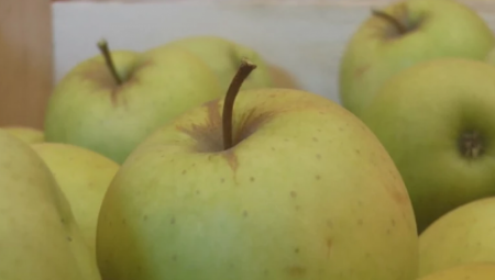 HRVAT PODELIO ŠOK SCENU IZ MARKETA: Tri jabuke u kutiji sa celofanom 22 evra! (VIDEO)