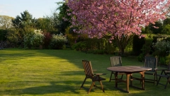 SAVET ISKUSNIH BAŠTOVANA Pospete ovu namirnicu po dvorištu i travnjak će vam biti kao tepih