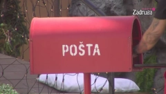 STIGLO IZNENAĐENJE Zadrugari vrisnuli od sreće, radovali se kao mala deca (FOTO)