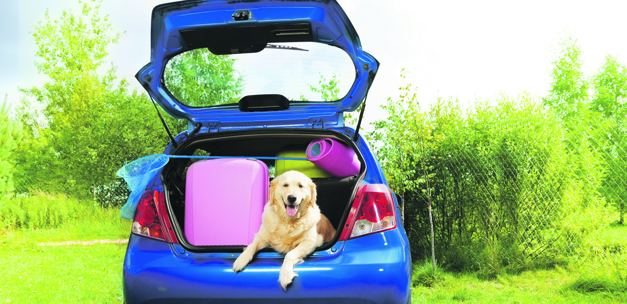 PREDSTAVLJAMO VAM Savete za putovanje s ljubimcem