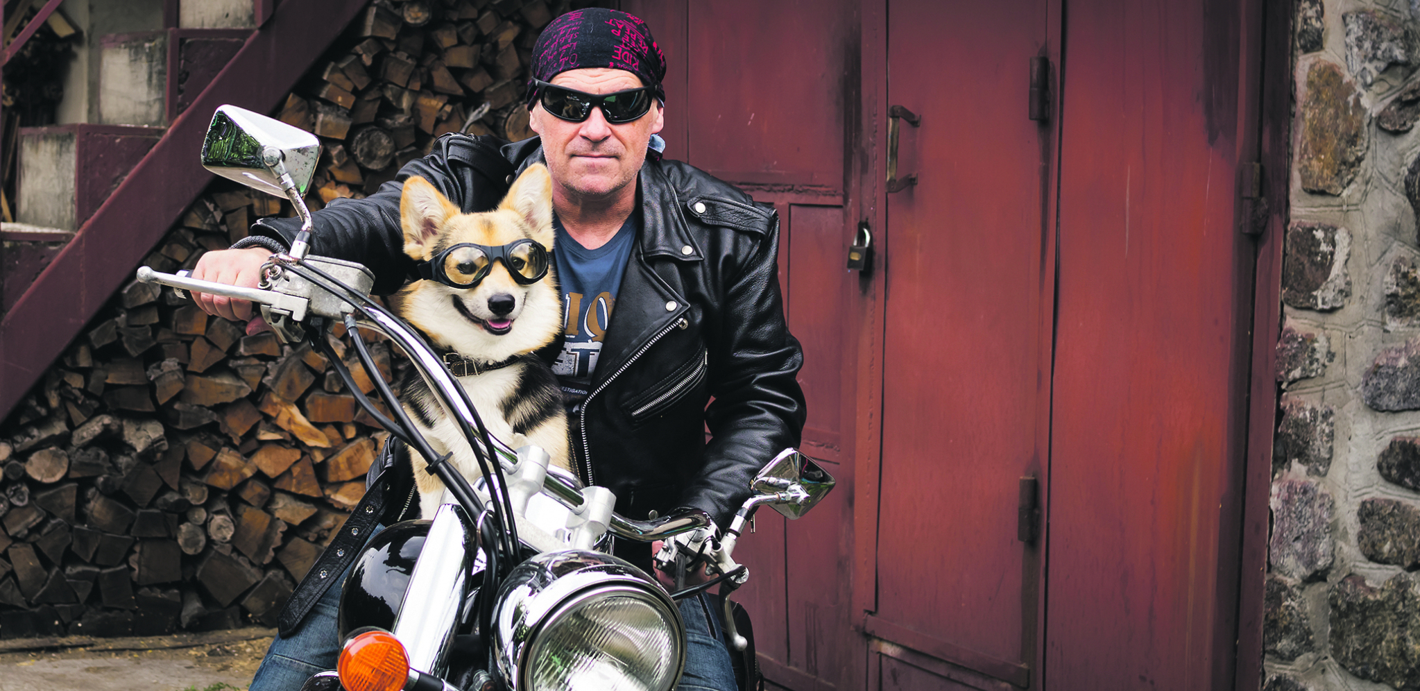 KAKAV PAS, TAKAV GOSPODAR Šta odabir ljubimca govori o njegovom vlasniku